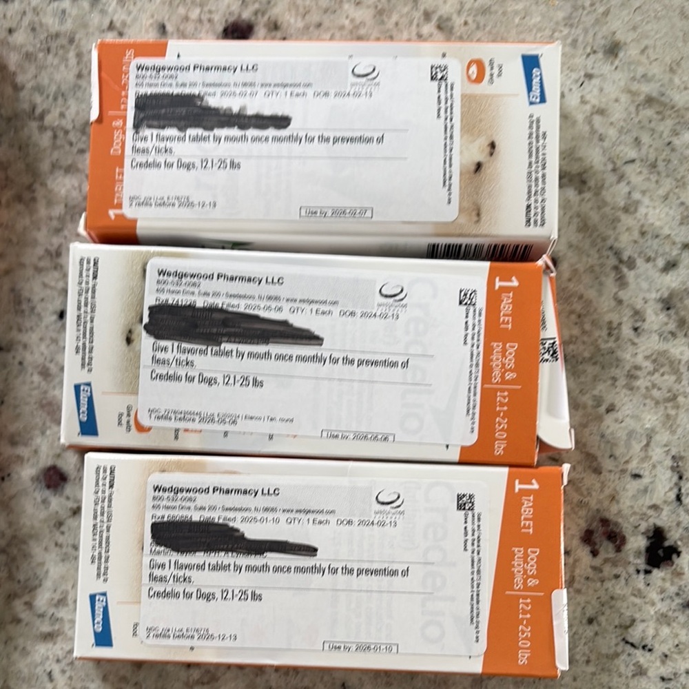 Dog Tablets - Orange